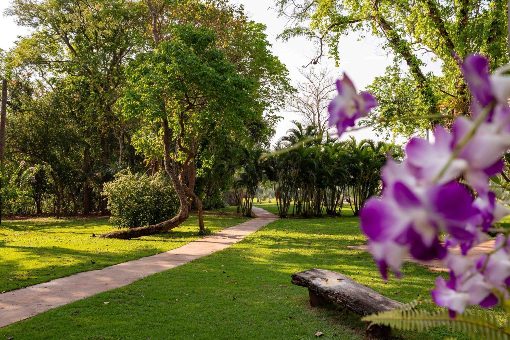 Spa Agua Milagrosa كويابا المظهر الخارجي الصورة